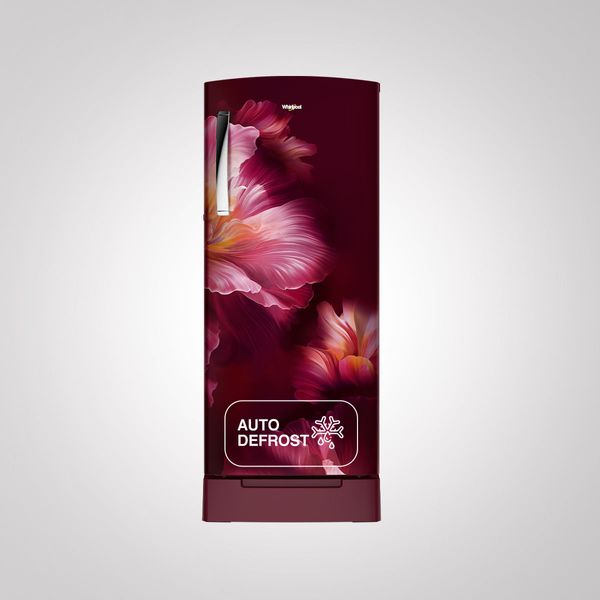 Whirlpool 236 L 5-Star Direct Cool Single Door Refrigerator with Intellisense Inverter, Auto Defrost, Base Drawer, and 4-in-1 Cooling Modes-(Wine Velvet, 73761)