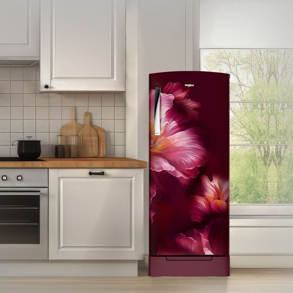 Whirlpool 236 L 5-Star Direct Cool Single Door Refrigerator with Intellisense Inverter, Auto Defrost, Base Drawer, and 4-in-1 Cooling Modes-(Wine Velvet, 73761)