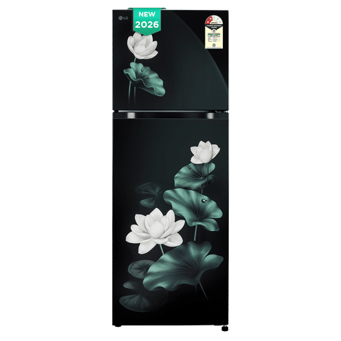 LG 251 Litres 2 Star Frost Free Double Door Convertible Refrigerator with Inverter Compressor ( Emerald Lotus) GLT2526XWEL.AELZEBN
