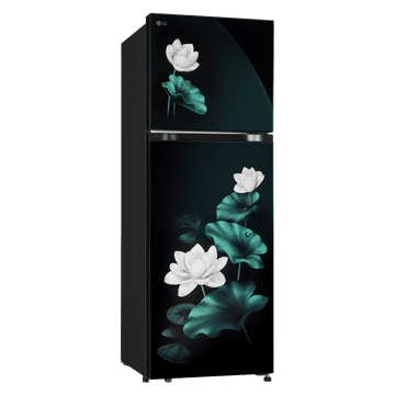 LG 251 Litres 2 Star Frost Free Double Door Convertible Refrigerator with Inverter Compressor ( Emerald Lotus) GLT2526XWEL.AELZEBN