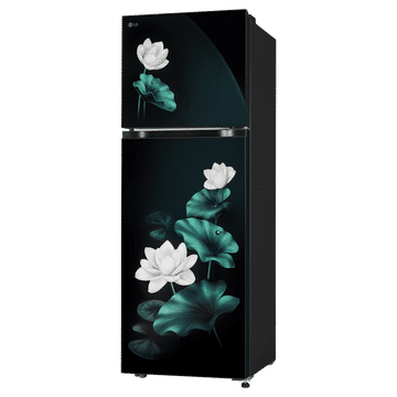 LG 251 Litres 2 Star Frost Free Double Door Convertible Refrigerator with Inverter Compressor ( Emerald Lotus) GLT2526XWEL.AELZEBN