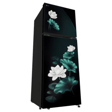 LG 251 Litres 2 Star Frost Free Double Door Convertible Refrigerator with Inverter Compressor ( Emerald Lotus) GLT2526XWEL.AELZEBN