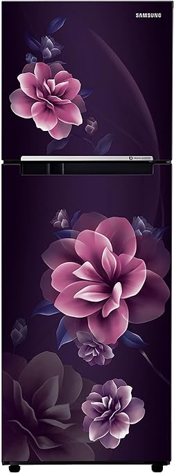 SAMSUNG 236 L Frost Free Double Door Top Mount 2 Star Refrigerator - RT28C3022CR/HL  (Camellia Purple)