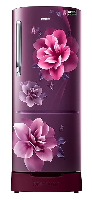 SAMSUNG 183 L Frost Free Single Door 3 Star Refrigerator - RR20C1823CR/HL (Camellia Purple)