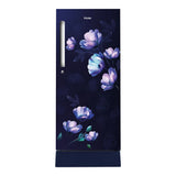 Haier 190L 5-Star Inverter Direct Cool Single Door Refrigerator with Flower Finish Door, Toughened Glass Shelves, and External Handle-(Marine Ivy, HRD-2105PMIA-P)