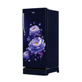 Haier 190L 5 Star Marine Blossom Single Door Refrigerator with Base Drawer, Inverter Compressor - HRD-2105PMBA