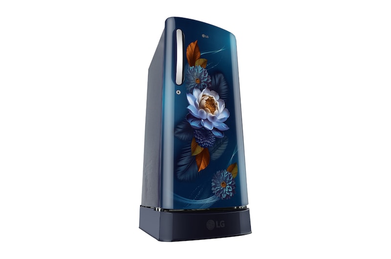 LG 185 L 5 Star, Single Door Refrigerator, Base Stand Drawer, Direct Cool, Smart Inverter Compressor, Blue Waterlilly (GLD1956ZABW.ABWZEBN)