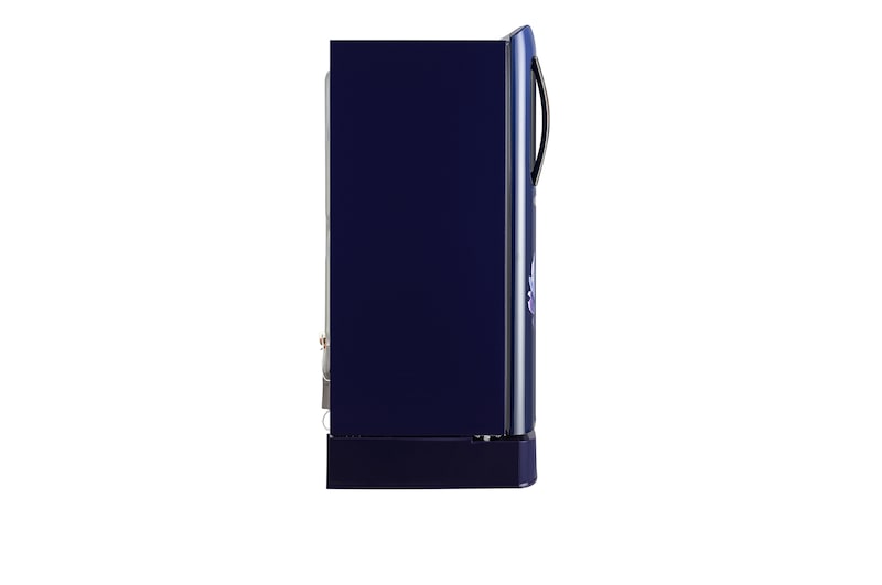 LG 185 L 5-Star Smart Inverter Single Door Refrigerator (Royal Glory, Base Stand Drawer), GLD1956ZARG.ARGZEBN