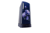 LG 185 L 5-Star Smart Inverter Single Door Refrigerator (Royal Glory, Base Stand Drawer), GLD1956ZARG.ARGZEBN