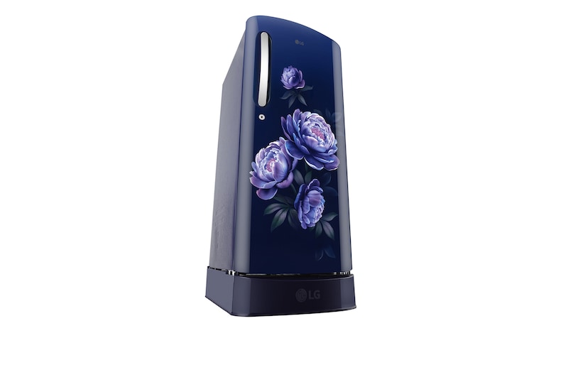 LG 185 L 5-Star Smart Inverter Single Door Refrigerator (Royal Glory, Base Stand Drawer), GLD1956ZARG.ARGZEBN